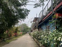 -万绿园