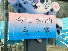 -青藏高原野生动物园