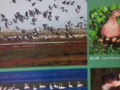 -延庆地质公园博物馆