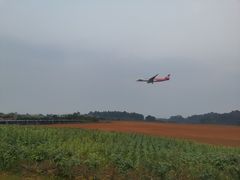 -空港花田景区