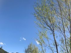 -西昌邛海湿地