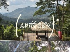 -霸王岭国家森林公园