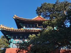 -北京国子监胡同