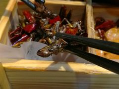 -福照楼汽锅鸡·云南菜(护国路店)