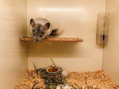 -龙猫仔乐园(惠福东路店)