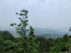 -冶父山国家森林公园