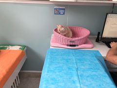 -纳吉亚猫专科动物医院·北北分院