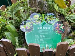 -野象谷景区