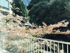 -月光园游月山庄