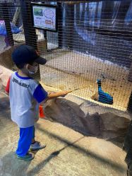 -酷嗒动物文化乐园(cutezoo西溪乐天城店)