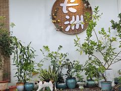 -长洲岛都市农业公园