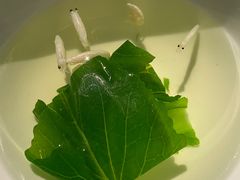 -荣轩(新荣记环球金融中心店)