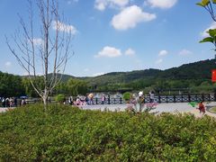 -上方山森林动物世界