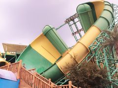 -苏州乐园森林水世界