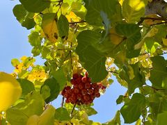 -春晖园度假酒店温泉