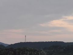 -美的鹭湖森林度假区