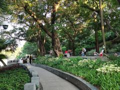 -晓港公园