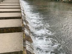 -桤木河湿地公园