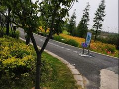 -松山湖梦幻百花洲