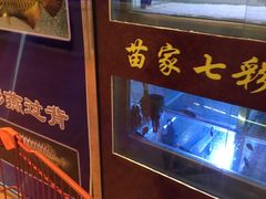 -大自然花鸟鱼虫市场