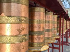 -护国法轮寺