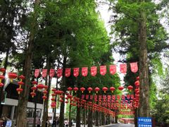 -井冈山风景名胜区