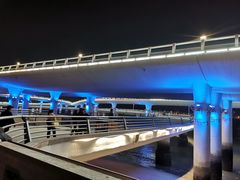 -演武大桥观景平台