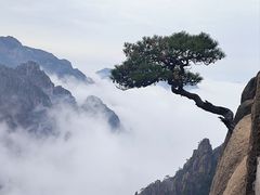 -黄山风景区