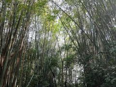 -广州市白云山风景名胜区