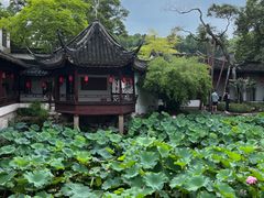 -上海醉白池公园