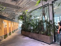 -大视光学•LINDBERG林德伯格•全球手工眼镜集合店(王府井店)