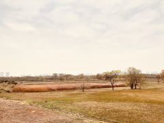 -盘龙城国家考古遗址公园