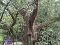 景点-藏龙百瀑风景区