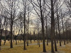 -天元公园
