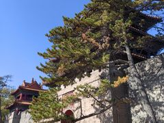 -沈阳市东陵公园