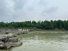 -滆湖低碳生态公园