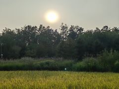 -北坞公园