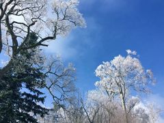 -亚布力新体委滑雪场