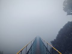 -云南屏边大围山国家公园