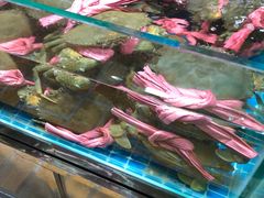 -都斛海鲜街