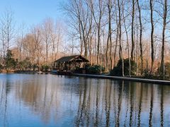 -溱湖国家湿地公园