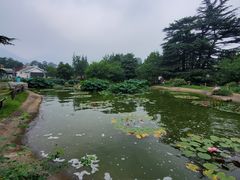 -国家植物园南园