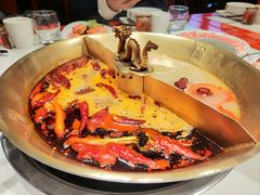 -小龙翻大江文化火锅(宽窄店)