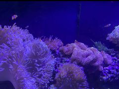 -泉城欧乐堡海洋极地世界