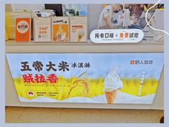 -野人先生现做冰淇淋(北京悠唐购物中心店)