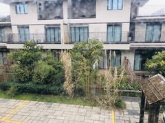 -田园东方蜜桃村的田野营地