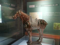 -衢州市博物馆