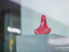 -莲花跑车(国贸商城店)