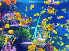 -顺德南宏海立方海洋公园