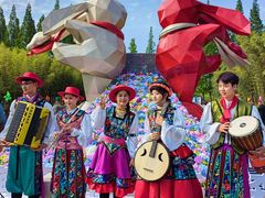 -黄海国家森林公园